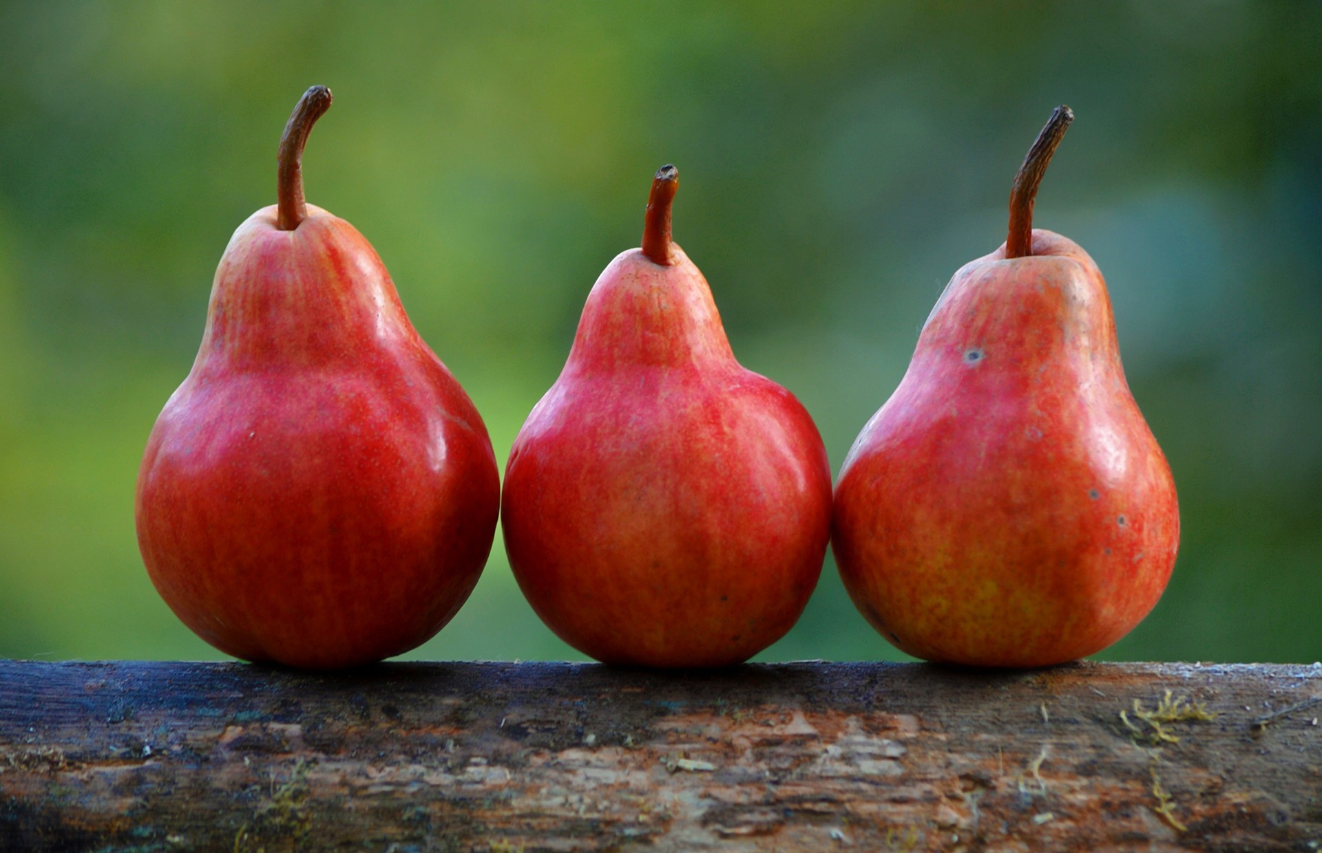 pears-1159014_1920