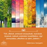 Fák, állatok, emberek másolat